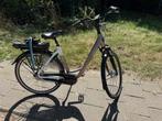 Prachtige Stella Livorno Grey/White, 53 tot 56 cm, Ophalen of Verzenden, Zo goed als nieuw, Overige merken