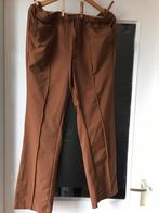 Nieuw Travelbroek van Dreamstar, Kleding | Dames, Dreamstar, Bruin, Maat 46/48 (XL) of groter, Nieuw