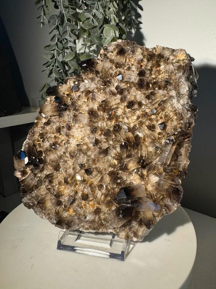 Rookkwarts cluster AAA, Tuin en Terras, Haardhout, Minder dan 3 m³, Ophalen of Verzenden