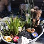 Nette zinkenteil, Tuin en Terras, Waterpartijen en Fonteinen, Ophalen, Zo goed als nieuw, Gietijzer, Overige typen