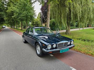 Daimler Double-Six 5.3 1992 NAP EN NEDERLANDSE AUTO. beschikbaar voor biedingen