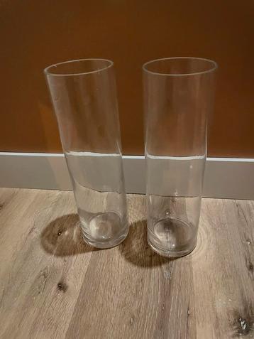 Twee Hoge Glazen Vazen beschikbaar voor biedingen