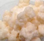 Melkkefir kefir korrels uit Kaukasus volle melk, Ophalen of Verzenden