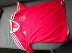 Ajax maat 152, Sport en Fitness, Voetbal, Maat XS of kleiner, Ophalen of Verzenden, Zo goed als nieuw, Shirt