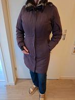 Winterjas, Kleding | Dames, Jassen | Winter, Paars, Zo goed als nieuw, Human Nature, Ophalen