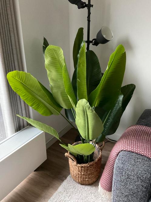 Strelitzia kunstplant 150 cm hoog real touch luxe uitvoering, Huis en Inrichting, Woonaccessoires | Kunstplanten en Kunstbloemen