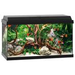 Aquarium beginnersbak 60x30x30 compleet LED, Vis