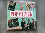 De moderne encyclopedie van de popmuziek Ted Greenwald, Ophalen of Verzenden, Zo goed als nieuw