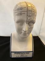 Phrenology head, Ophalen of Verzenden