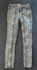 Scotch & Soda broek met print, Blauw, Nieuw, Scotch & Soda, Ophalen of Verzenden