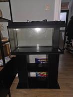 Aquarium met kast, Dieren en Toebehoren, Ophalen, Leeg aquarium