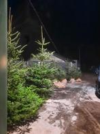 kerstbomen tekoop, Ophalen, Nieuw