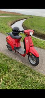 Peugeot rapido 50cc, Ophalen, Zo goed als nieuw, Benzine