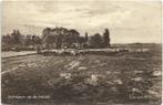 Laren,  Schapen op de heide, Verzenden, 1920 tot 1940, Gelopen, Noord-Holland