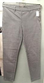 SANDWICH BROEK MT 40, Kleding | Dames, Broeken en Pantalons, Maat 38/40 (M), Ophalen of Verzenden, Zo goed als nieuw, Grijs
