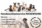 Honden uitlaat service Spijkenisse, Ophalen of Verzenden, Zo goed als nieuw