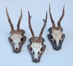 3 x REE GEWEI op houten schild (ref. X)