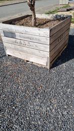 Veiling Bloemenbak - Houten Plantenbak, Tuin en Terras, Ophalen, Gebruikt, Vierkant, Tuin