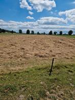 Hooi tekoop uitewaard 2025 grote balen, Dieren en Toebehoren, Stalling en Weidegang