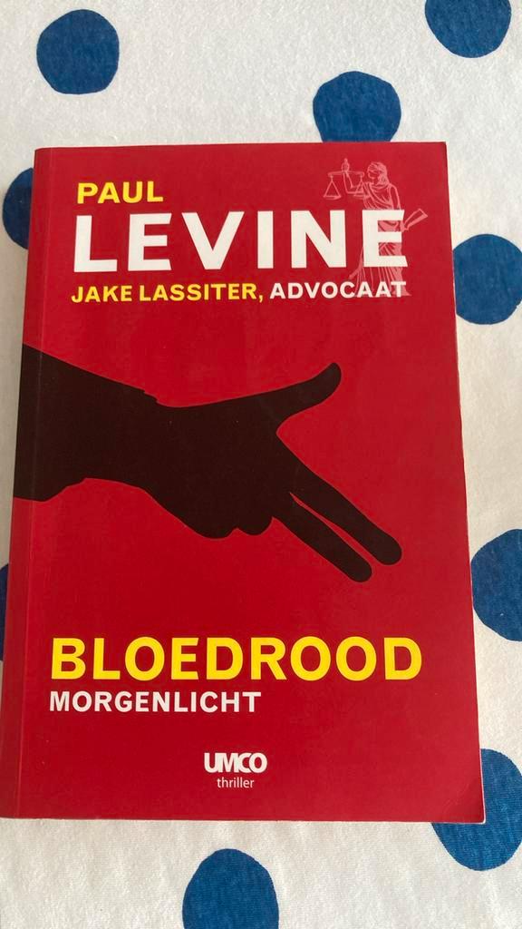 Peter Levine - Bloedrood morgenlicht, Boeken, Thrillers, Zo goed als nieuw, Nederland, Ophalen of Verzenden