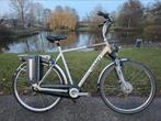 Giant Twist XL - Elektrische Fiets - 60cm Frame, Gebruikt, 59 cm of meer, 30 tot 50 km per accu, Giant