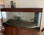 Jewel Aquarium Rio 180Liter incl. Kastje, Dieren en Toebehoren, Vissen | Aquaria en Toebehoren, Ophalen, Gebruikt, Leeg aquarium