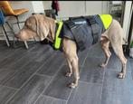 3in1 k9 zwemvest XL Nieuw., Dieren en Toebehoren, Honden-accessoires, Ophalen of Verzenden, Nieuw