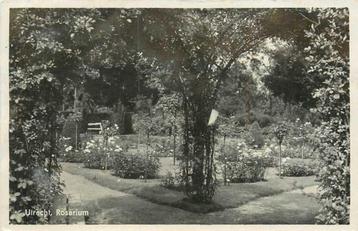 (300-117-023) Utrecht Rosarium beschikbaar voor biedingen