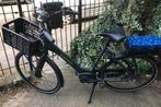 Cortina E- Common Active Plus, Fietsen en Brommers, Ophalen of Verzenden, Zo goed als nieuw, Cortina, 55 tot 59 cm