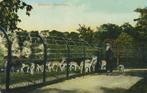 Alkmaar - Hertenkamp [KRST005-7342, Verzamelen, Ansichtkaarten | Nederland, Verzenden, Voor 1920, Ongelopen, Noord-Holland