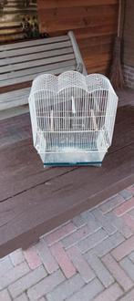 Kanariekooi, Dieren en Toebehoren, Ophalen, Hout, Vogelkooi