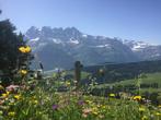 ZONNIG, RUIM APPARTEMENT, MORGINS, WALLIS, INCL MULTIPASS, Vakantie, Vakantiehuizen | Zwitserland, In bergen of heuvels, Rolstoelvriendelijk