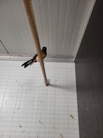 Schamalijster pop, Dieren en Toebehoren, Vogels | Overige Vogels, Vrouwelijk, Geringd