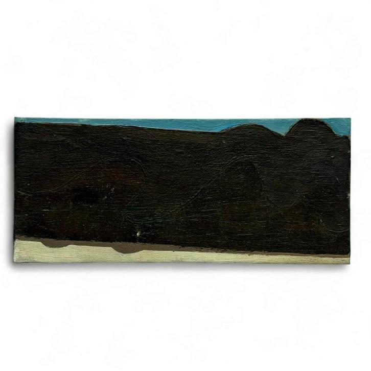 Dave Meijer (1955), Antiek en Kunst, Kunst | Overige Kunst, Ophalen of Verzenden