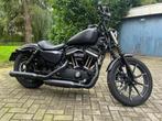 Harley davidson sportster iron 883, Motoren, Motoren | Harley-Davidson, 2 cilinders, Chopper, 883 cc, Particulier