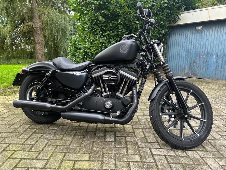Harley davidson sportster iron 883, Motoren, Motoren | Harley-Davidson, Particulier, Chopper, meer dan 35 kW, 2 cilinders, Minimaal motorrijbewijs A2