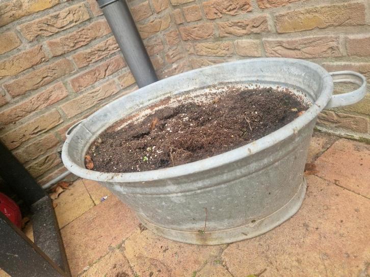 Zinken teil / wastobbe, 2 stuks, Tuin en Terras, Bloembakken en Plantenbakken, Gebruikt, Metaal, 30 tot 60 cm, Overige vormen