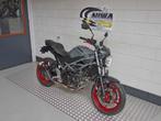 SUZUKI SV 650 (bj 2023), 2 cilinders, Bedrijf, Sport, Meer dan 35 kW