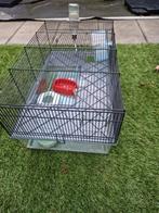 Hamsterkooi, Ophalen, Minder dan 75 cm, Kooi, Minder dan 60 cm