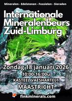 6e INTERNATIONALE MINERALENBEURS ZUID-LIMBURG -> 18-1-2026, Tickets en Kaartjes, Twee personen