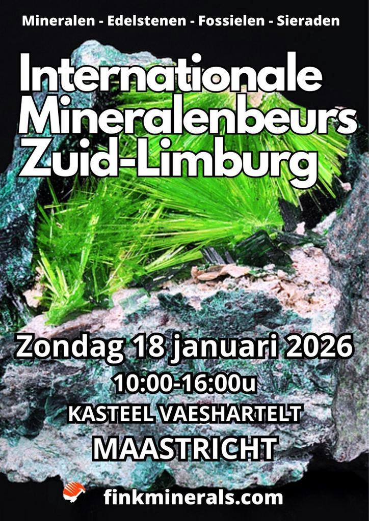 6e INTERNATIONALE MINERALENBEURS ZUID-LIMBURG -> 18-1-2026, Tickets en Kaartjes, Evenementen en Festivals, Twee personen