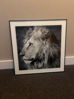 Schilderij /fotolijst tijger, Huis en Inrichting, Woonaccessoires | Schilderijen, Tekeningen en Foto's, Ophalen, Zo goed als nieuw