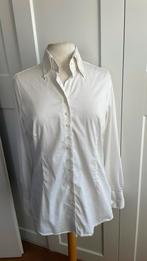 Cavallaro blouse 44, Kleding | Dames, Ophalen of Verzenden, Zo goed als nieuw, Maat 42/44 (L), Blauw