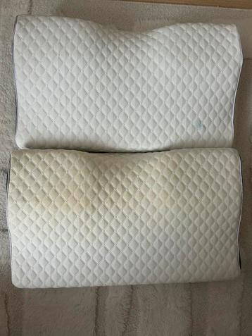 Set van 2 Kussens beschikbaar voor biedingen