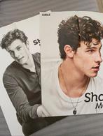 2x Shawn Mendes posters groot, Ophalen of Verzenden, Zo goed als nieuw, Poster, Artwork of Schilderij