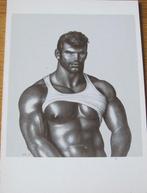 Tom uit Finland - bodybuilder - tekening op ansichtkaart, Verzamelen, Verzenden, 1980 tot heden, Ongelopen, Overige thema's