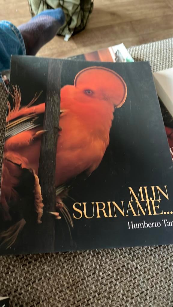 Emma Louise Diest - Mijn Suriname, Boeken, Tijdschriften en Kranten, Zo goed als nieuw, Ophalen of Verzenden