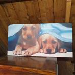 Canvas met puppy's onder een kleed, Minder dan 50 cm, 75 tot 100 cm, Overige typen, Zo goed als nieuw