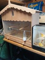 Mooie vogel buiten kooi en kanaries, Ophalen of Verzenden, Hout, Vogelkooi