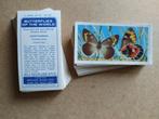 Butterflies of the World complete set 50 tea cards vlinders, Ophalen